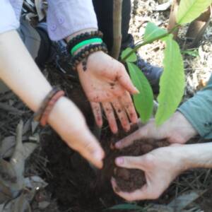 🌱 Apoie o Instituto Itapoty