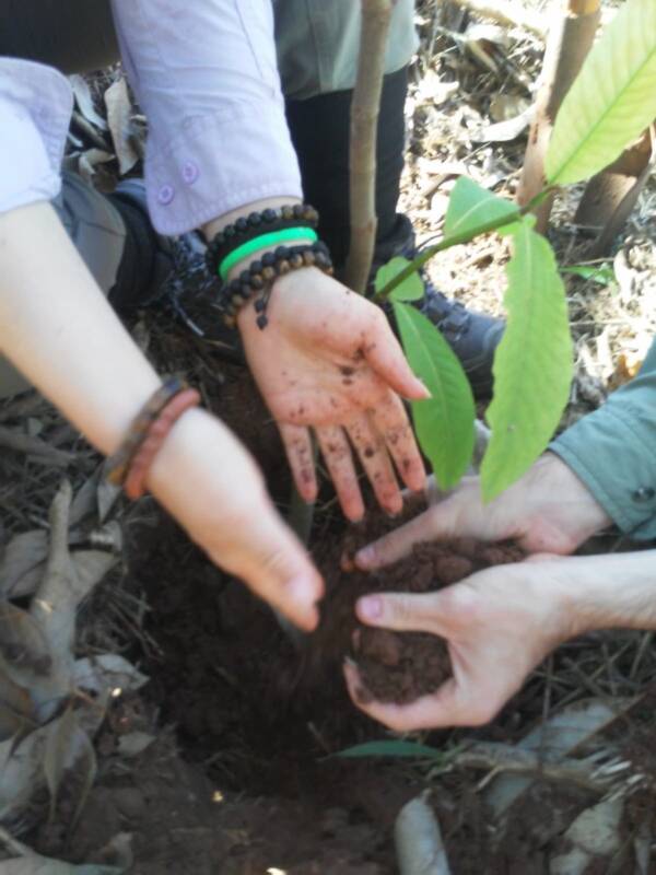 🌱 Apoie o Instituto Itapoty